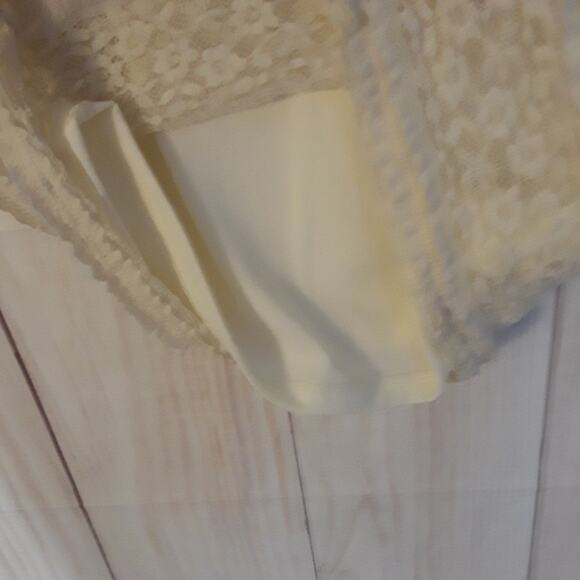 Forever 21 Lace Overlay Sleeveless Dress - Picture 3 of 7